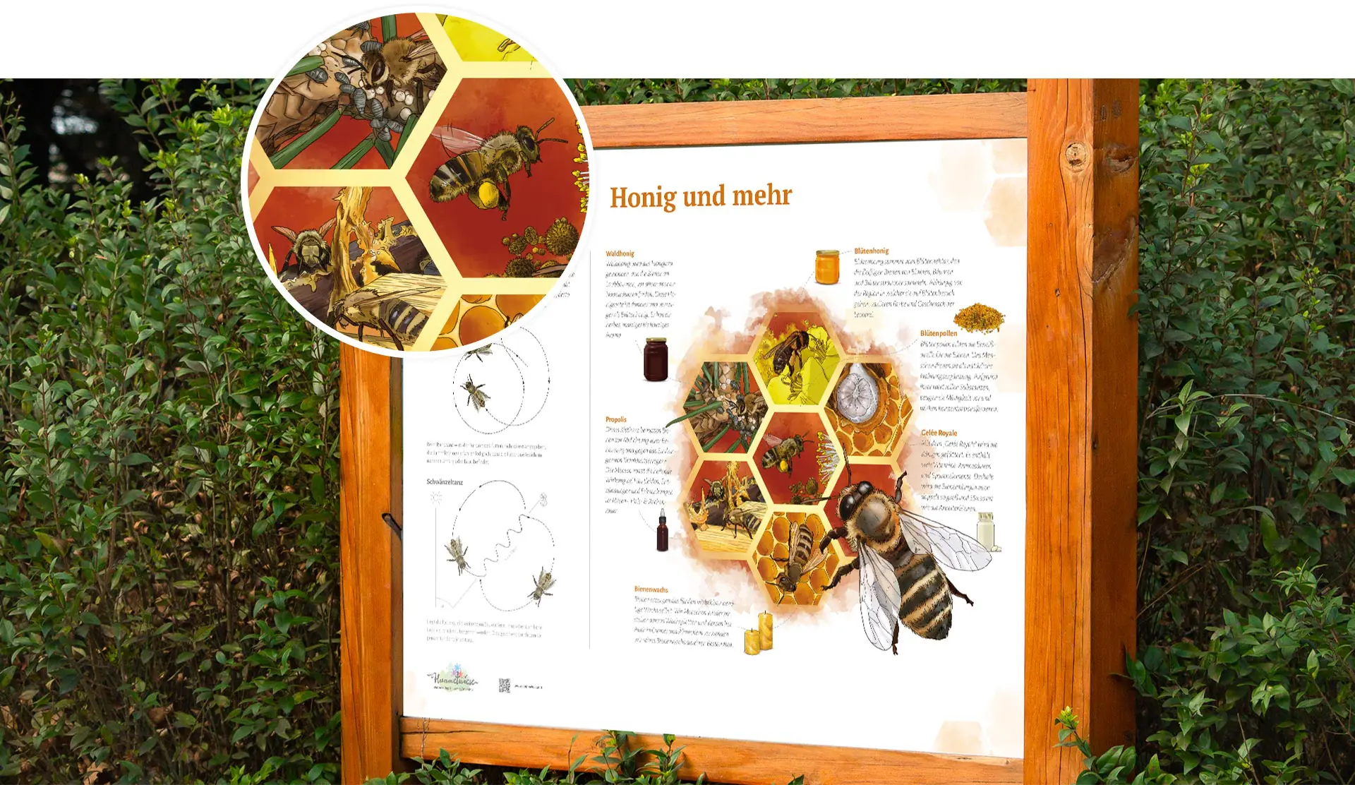 Infotafel über Honig und mehr für die Hummelwiese in Österreich