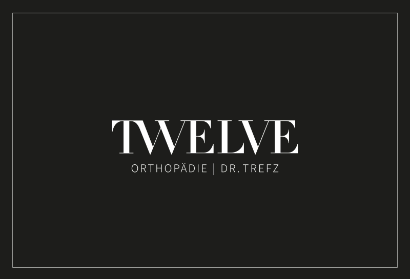 TWELVE Corporate Design Vorschaubild