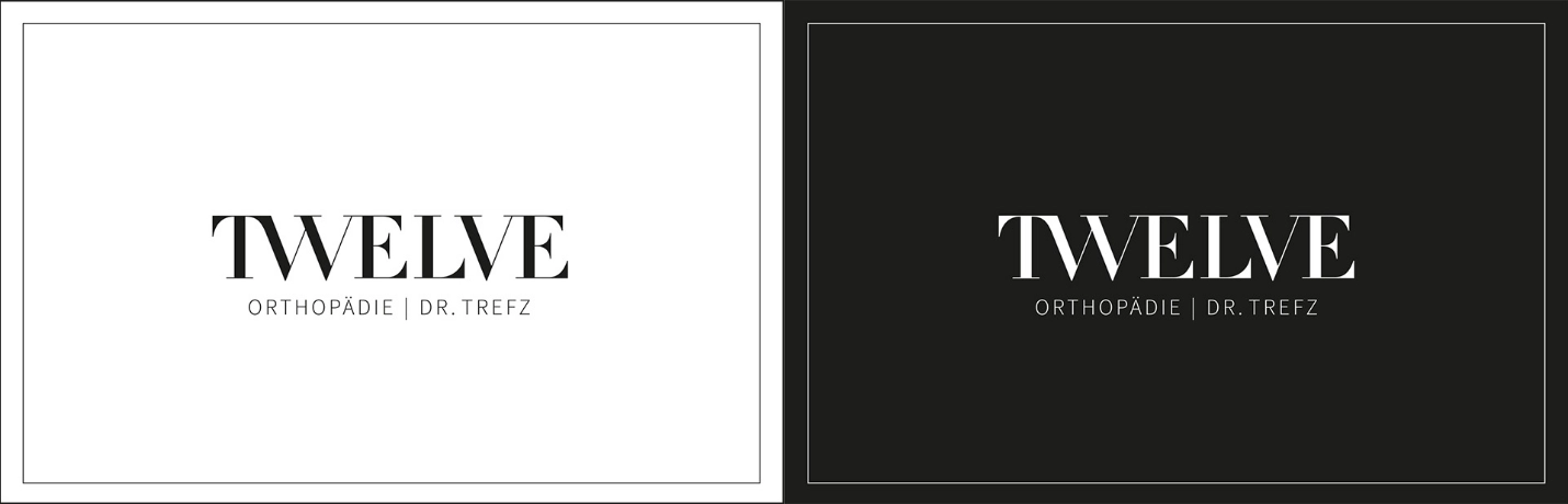 TWELVE Logo final