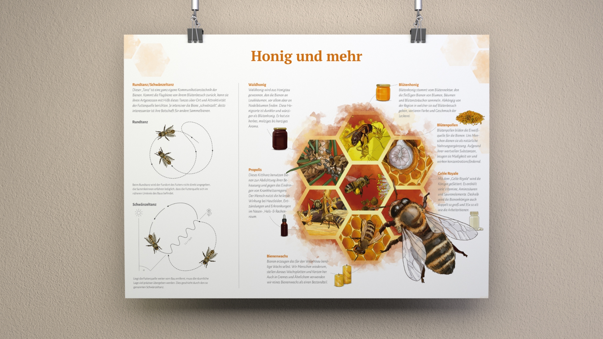 twin Werbeagentur Illustration & Animation Infografiken