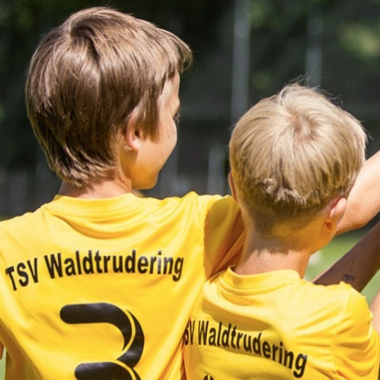 twin werbeagentur Webdesign Agenturleistung Webseite Referenz TSV Waldtruderin