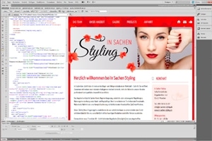 twin werbeagentur webseite styling 3